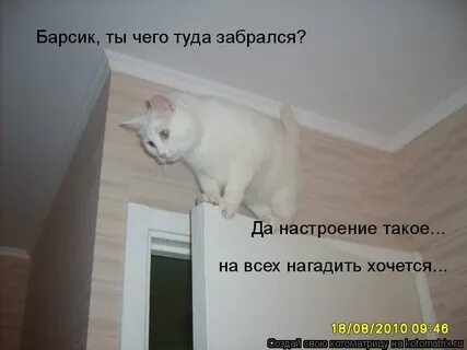 Туда залезла