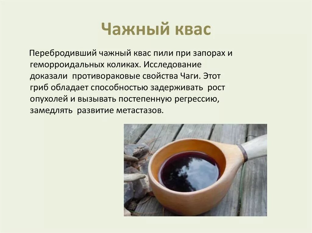 Чага березовая как заваривать в термосе. Как приготовить квас из чаги. Заварка чаги. Квасной гриб чага. Как правильно заваривать гриб чага.