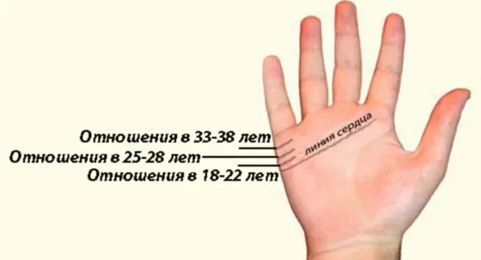 Хиромантия. На линии брака 2 линии. Линии на руке линия брака. Линия любви на ладони. Линия отношений на руке.