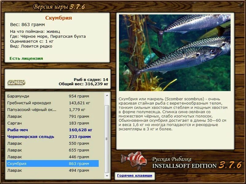 Русская рыбалка игра installsoft. Приманка на рыбу меч русская рыбалка Installsoft Edition 3 3.1. Installsoft Edition. Скумбрия вес. Что дают за достижения в русская рыбалка Installsoft Edition 3.1.