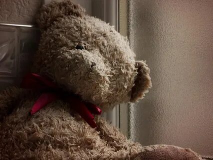 Teddy brown