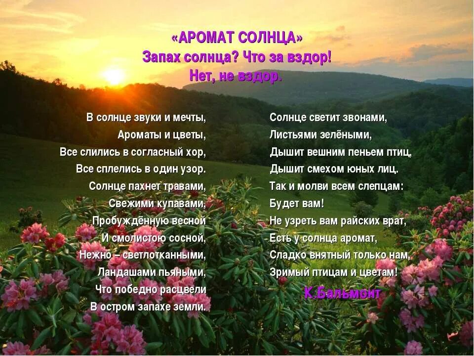 Бальмонт цветок. Аромат солнца стихотворение. Запах солнца стих. Стихи про запахи. Аромат солнца Бальмонт.