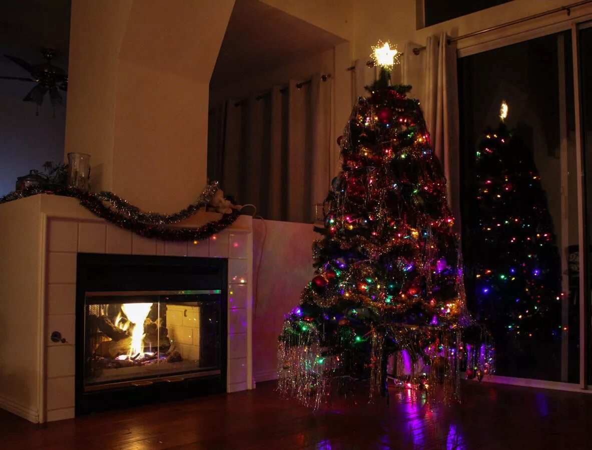 новогодняя елка на улице. белая елка дома. новогодняя елка во дворе. елка новогодняя рядом. красивая новогодняя елка.