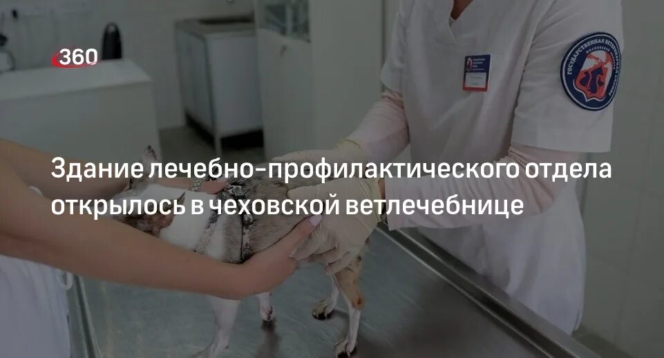 Ветклиника ермишь. Ветеринарный центр чехов. Вакцинация животных. Чехов ветеринарная станция. Чехов ветеринарная станция.