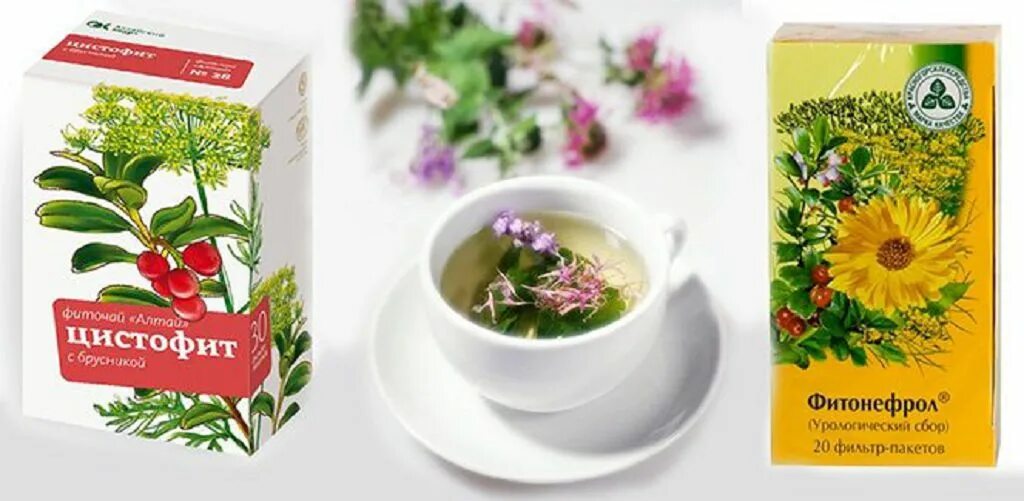 Травяной сбор от цистита. Травяной чай при цистите. Травяной чай от цистита. Фиточай от цистита для женщин.