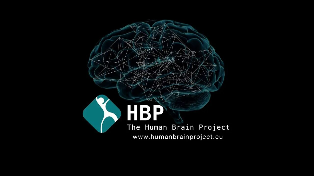 Brain project. Human Brain Project. Проект мозг. Проект «Human Brain Project» описание. Human Brain Project логотип.
