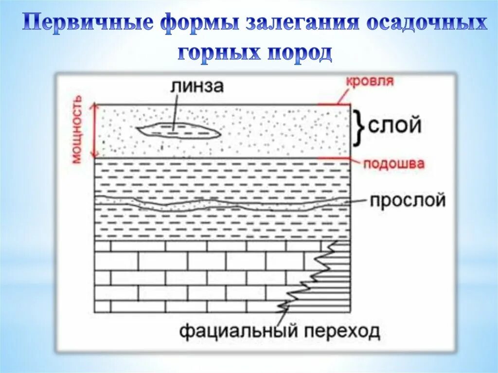 Залегание горных пород. Схема залегания горных пород. Формы залегания пород. Слои залегания горных пород. Слой породы 5