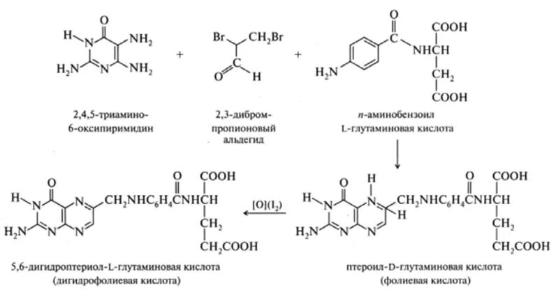 Синтез аденина фолиевая кислота. Синтез фолиевой кислоты схема. Синтез фолиевой кислоты из парааминобензойной. Биосинтез фолиевой кислоты.
