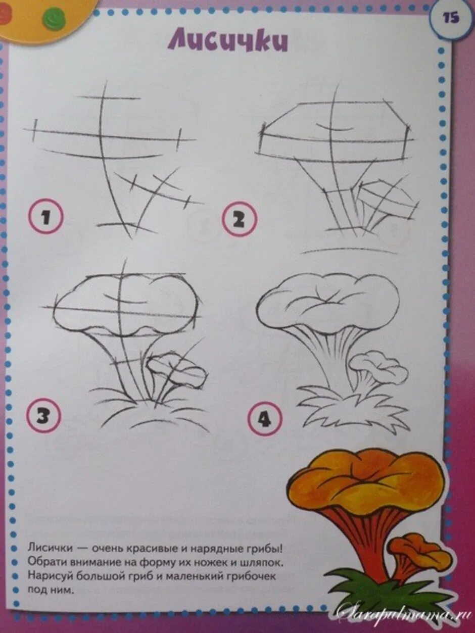 Рисование грибы. Гриб рисунок. Пошаговое рисование гриба. Поэтапное рисование грибов для дошкольников. Грибы поэтапно