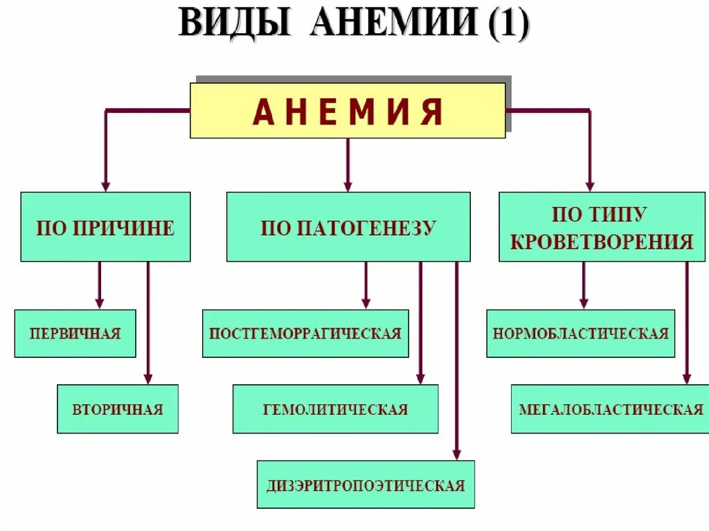 Понятие анемии. Классификация различных типов анемий. Типы анемии и причины. Первичные и вторичные анемии. Анемия виды причины.
