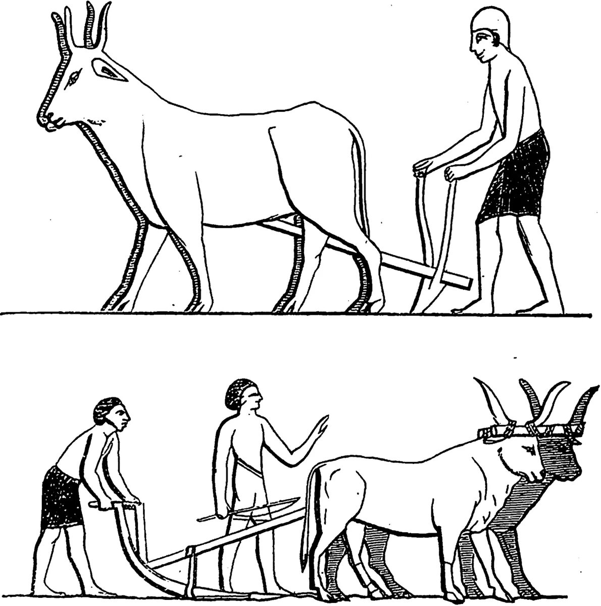 Скотоводство в древнем Египте. Земледелие в древнем Египте. Земледелец из древнего Египта. Рисунок земледельца в древнем Египте.