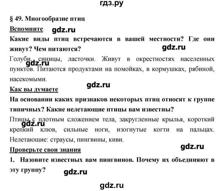 География 6 класс параграф 44 вопросы. Конспект по биологии 7 класс параграф 49. Биология 49 параграф 7 класс. Конспект по биологии 6 класс параграф 49. Биология 5-6 класс параграф 49 конспект.