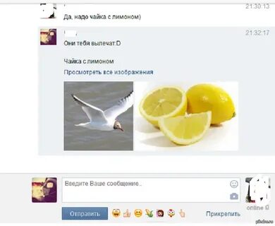 Чайку под чаек песня