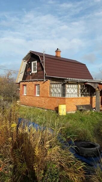 Погода в оржицах ломоносовского района