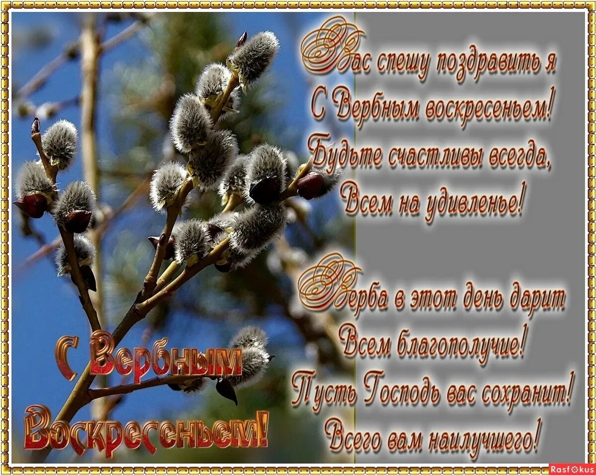 Вербное воскресенье что это за праздник. С Вербным воскресеньем. Вербное воскресенье поздравления. С Вербным воскресеньем красивые поздравления. С Вербным воскресеньем открытки.