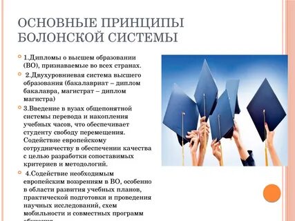Единое образовательное и культурное пространство в европе