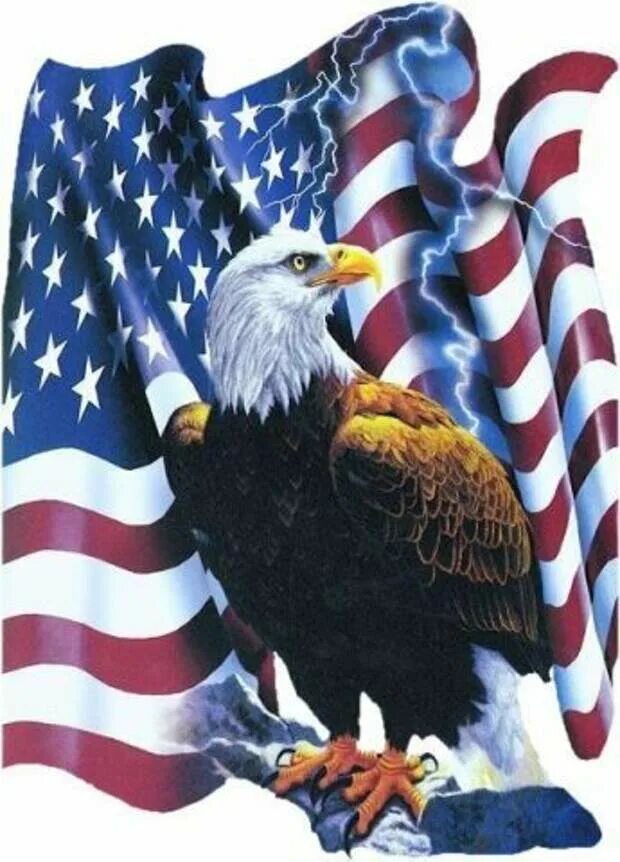 1970 год символ сша. Белоголовый Орлан США. Символ Америки белоголовый Орлан. Белоголовый Орлан на гербе США. Белоголовый орёл символ Америки.