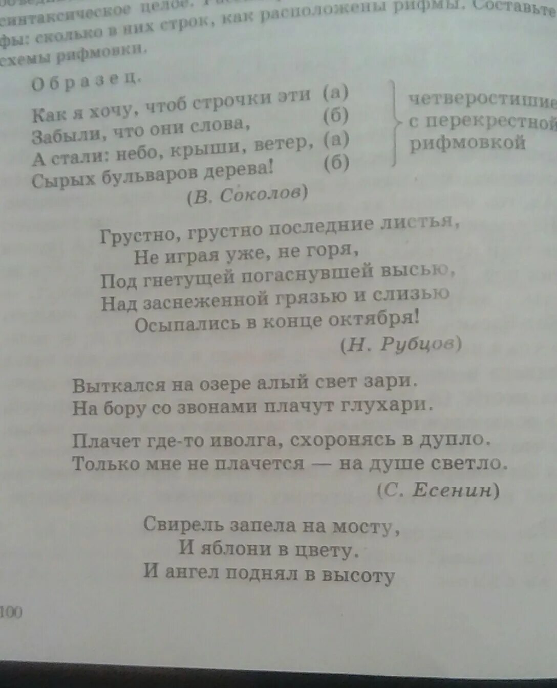 Что такое строфа в стихотворении. Количество строк в стихотворении. Стих это сколько строк. 4 Строфы.