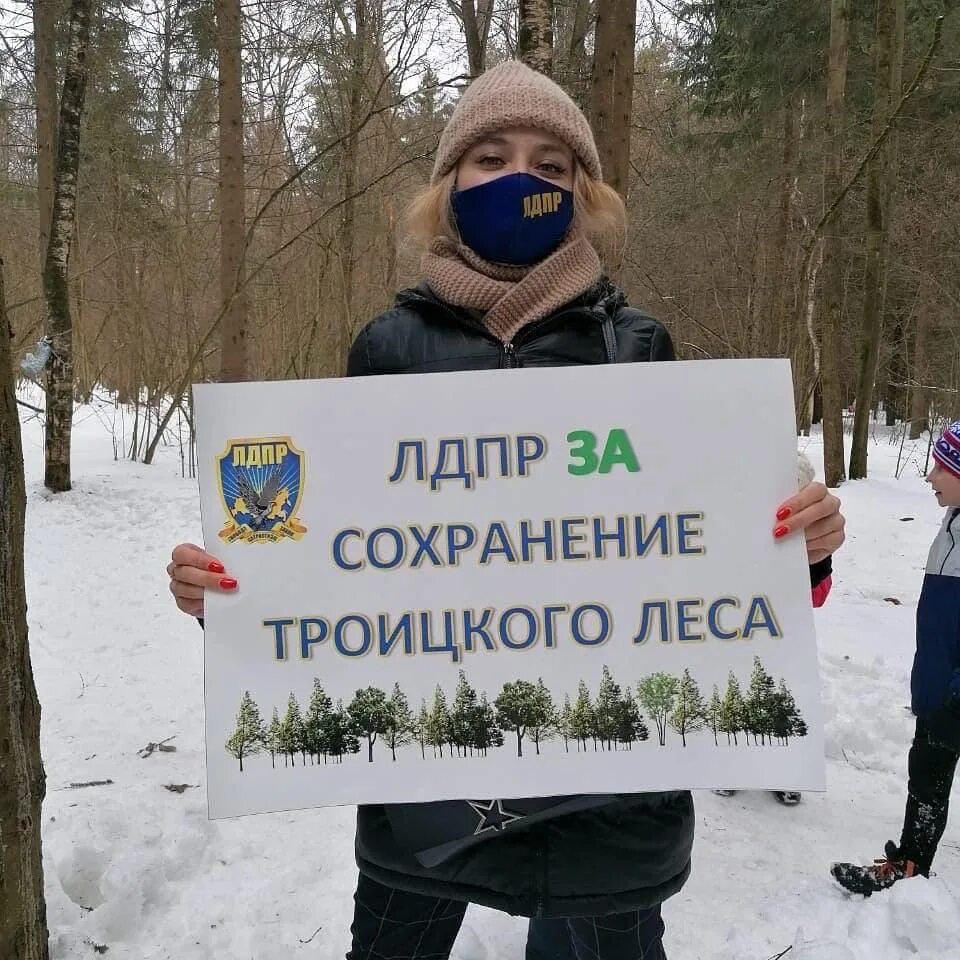 Ситуация в троицком лесу. Дендройды против вырубки. Вырубка троицкого леса. Проект 7 класс я против вырубки леса. Протест против вырубки лесов.
