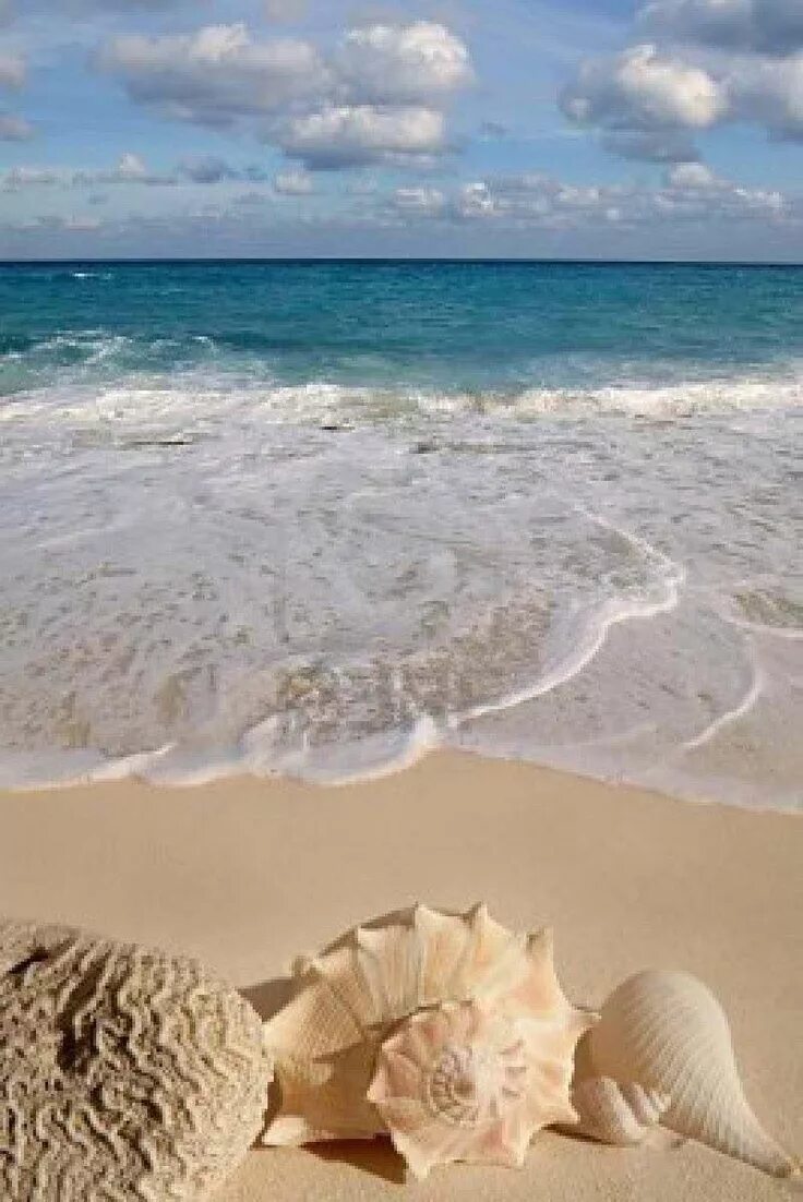 Plage sugar