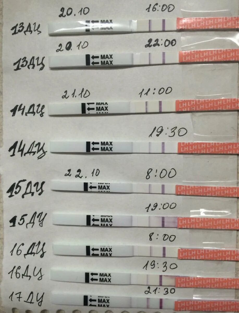 Тест на овуляцию. Динамика тестов на овуляцию. Тест на овуляцию положительный. Тесты на овуляцию по дням.