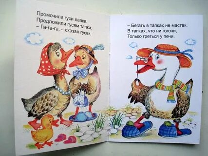 На красных лапках гусь