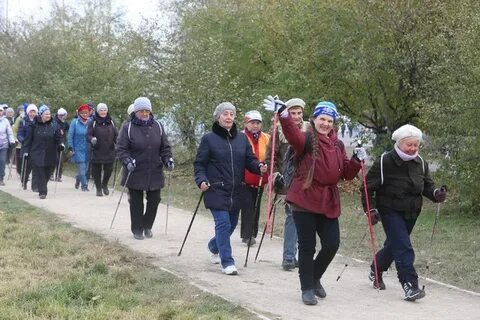 Досуг для пенсионеров воронеж 88007754613