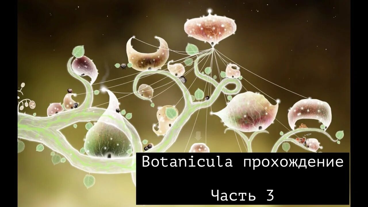 Botanicula прохождение. Ботаникула. Ботаникула 3. Игрушка Ботаникула.