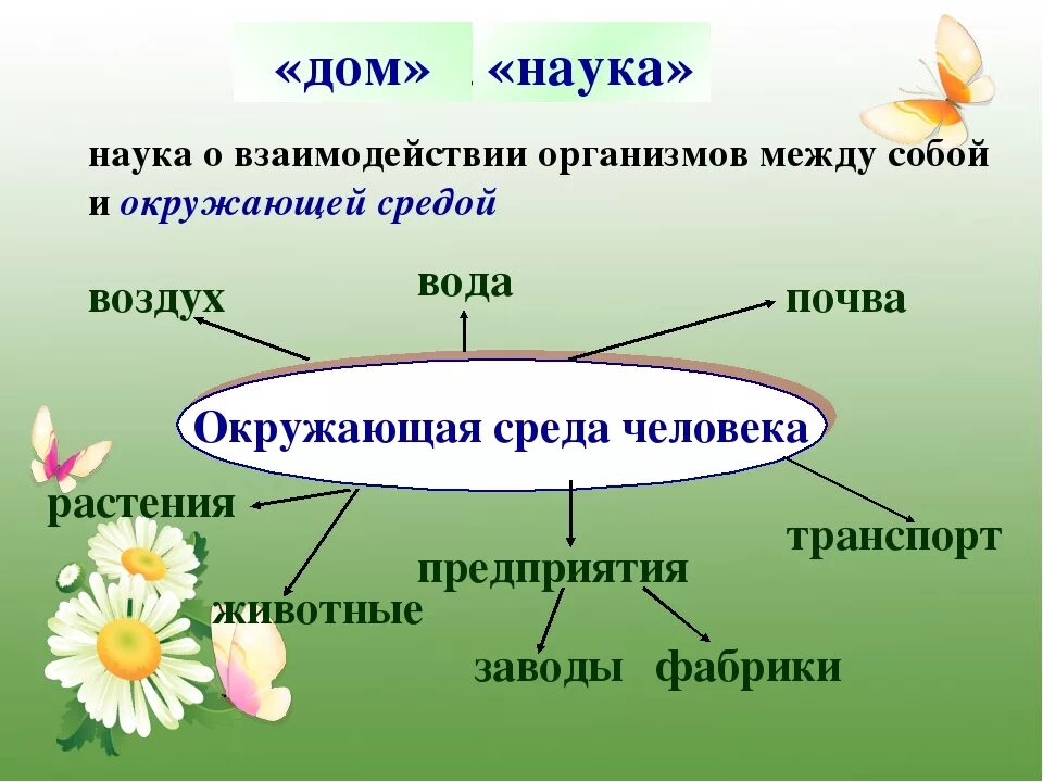 Сообщение экологические связи. Экология это 3 класс. Экология презентация 3 класс. Презентация по экологии 3 класс. Понятие что такое окружающая среда 3 класс.