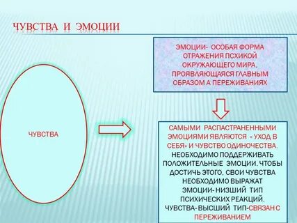 Что отражается в форме в