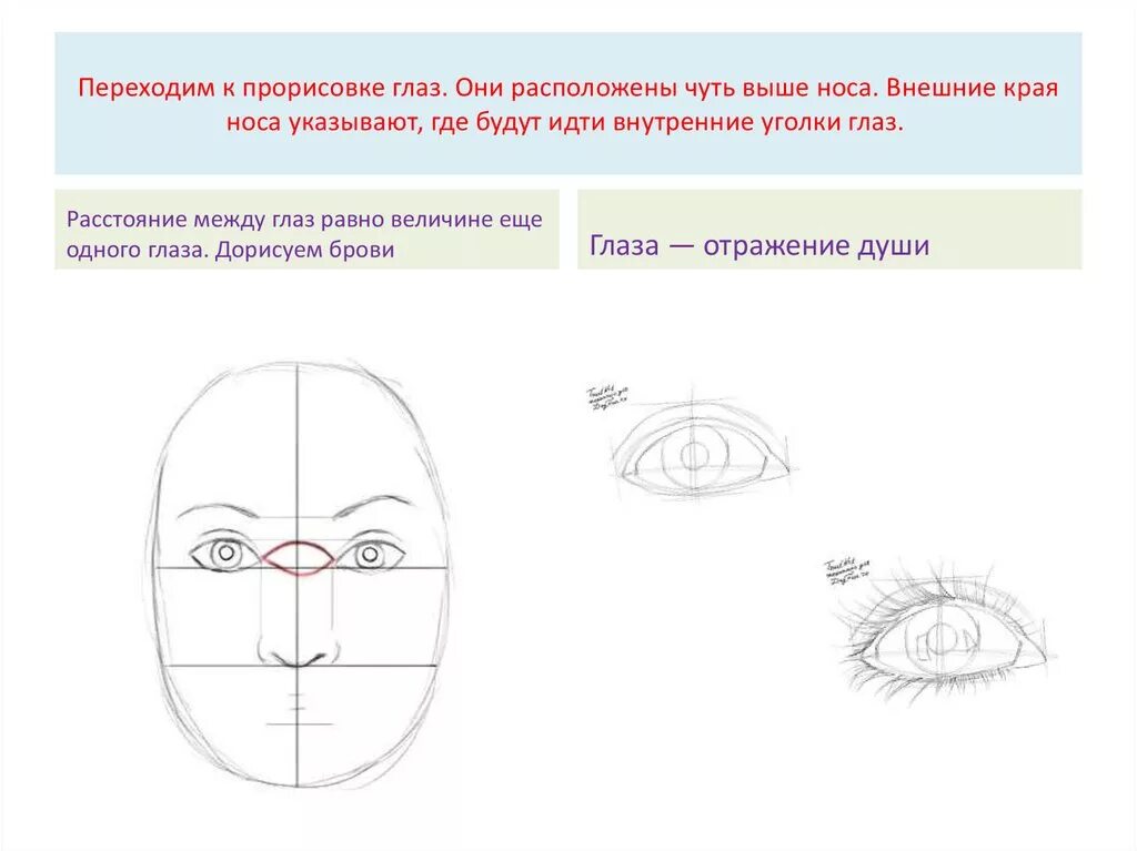 Рисование портрета 3 класс. Поэтапное рисование портрета для детей. Этапы рисования портрета в начальной школе. Поэтапное рисование портрета 3 класс.