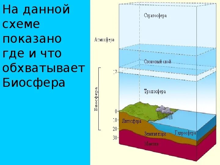 Биосфера и человек 11 класс. Границы биосферы 5 класс биология. Структура и границы биосферы схема. Части биосферы на схеме. Макет биосферы.