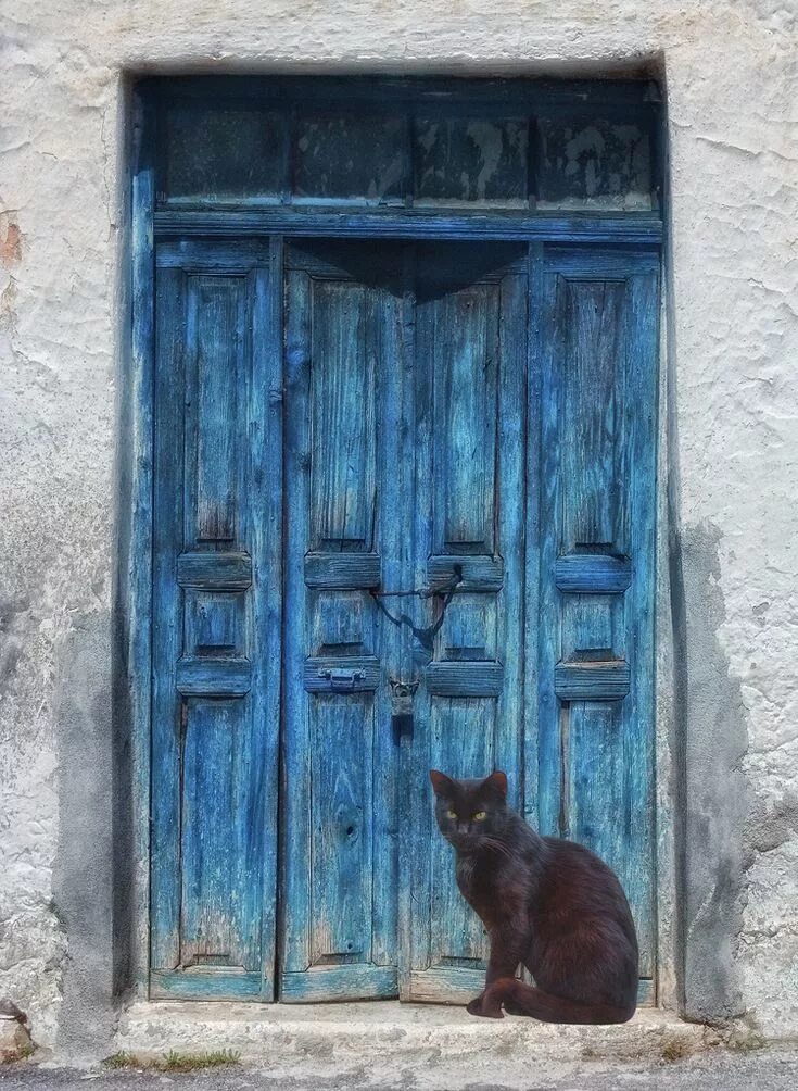 Дверь для кошки. Кот возле двери. Кот под дверью. Коты и двери