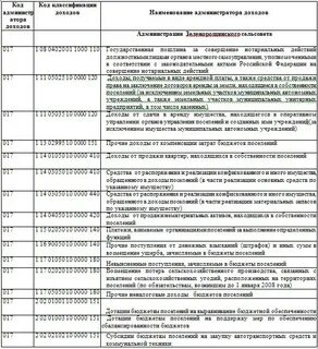 Администратор доходов бюджета пример