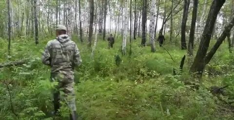 Шагая по лесу опытный