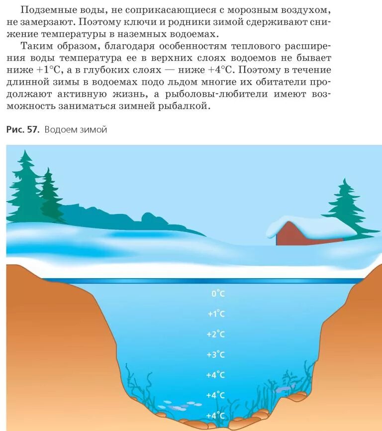 В холодную воду температурой 20 градусов. Температура воды в реке подо льдом. Температура воды зимой подо льдом. Распределение температуры подо льдом. Промерзание воды в водоемах.