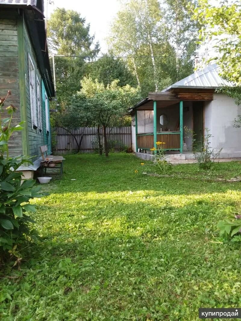Купавна снт дача. Садовое товарищество труд. снт купавна. купавна дачи. снт купавна вос.
