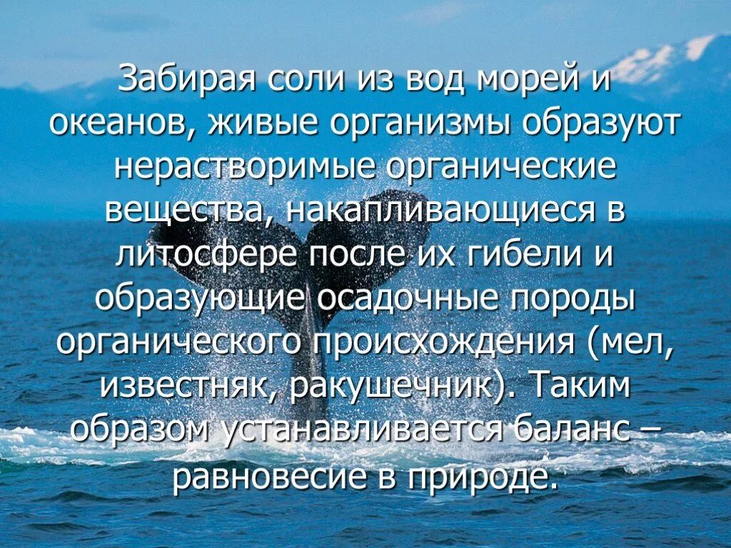 Организмы в соленой воде. Жизнь организмов в морях. Организмы в морях и океанах. Мировой океан соленая вода. Соль в морях и океанах.