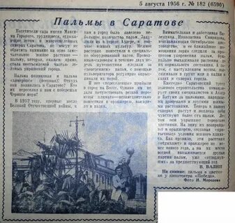 Александре газет