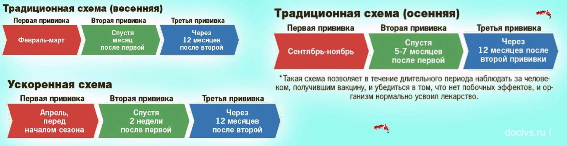 Вакцина от клещевого сколько. Прививка против клещевого энцефалита схема вакцинации. Схема вакцинации против клещевого энцефалита. Вакцина от клещевого энцефалита схема вакцинации. Против клещевого энцефалита вакцина схема.