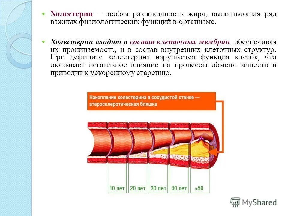 Холестерин что это. Холестерин в организме обеспечивает. функции холестерина в организме. холестерин это в биологии. холестерин в клеточной стенке.