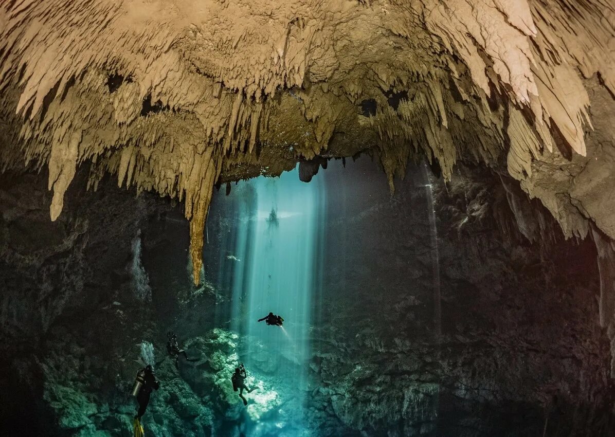 Вертикальная пещера затоплена водой можно найти уровень. Подводные пещеры Юкатана. Подводная пещера Сенот. Пещеры Сеноты Мексика запоте парк. Tolantongo пещеры Мексики.