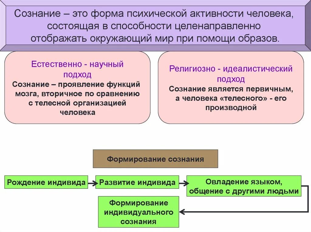 Формы психической активности человека. Форма умственной деятельности человека. Сознание. Формы психической активности