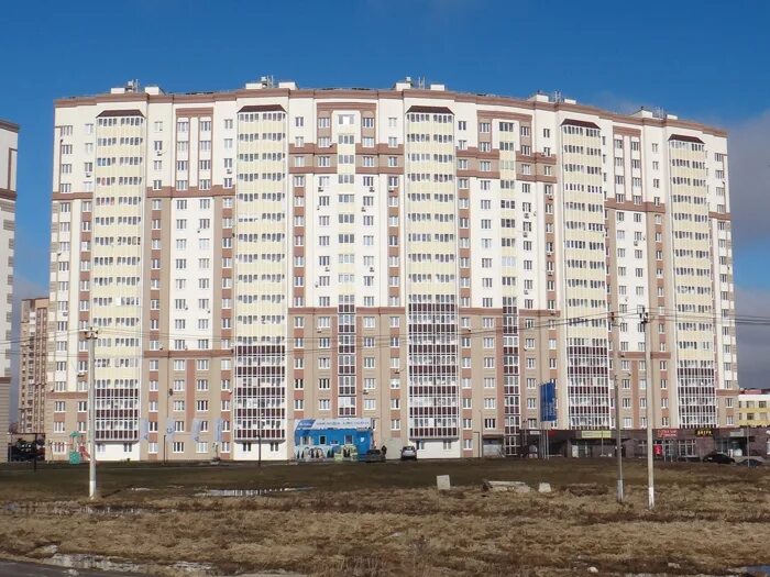 Г домодедово московская область ул курыжова. Домодедово мкр южный ул курыжова. Г домодедово московская область ул курыжова. Южный, ул. Г домодедово ул курыжова д 14.