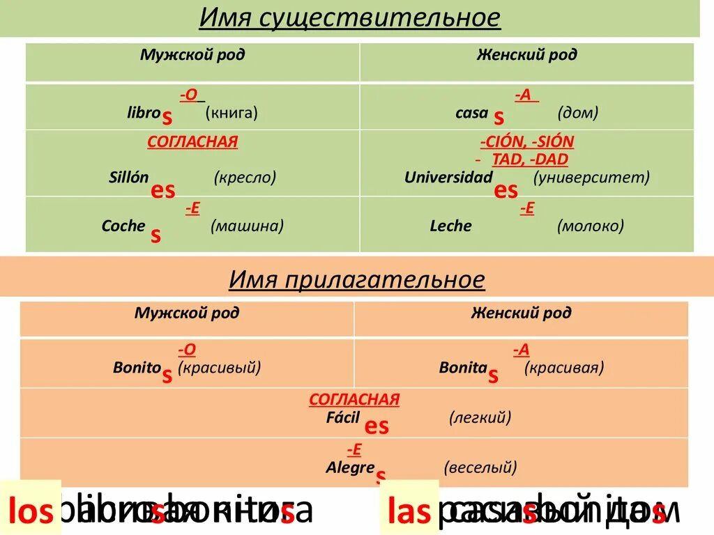 Мужские окончания. Род существительных в испанском языке. Род в испанском языке. Род и число имен существительных в испанском языке. Мужской и женский род в испанском.