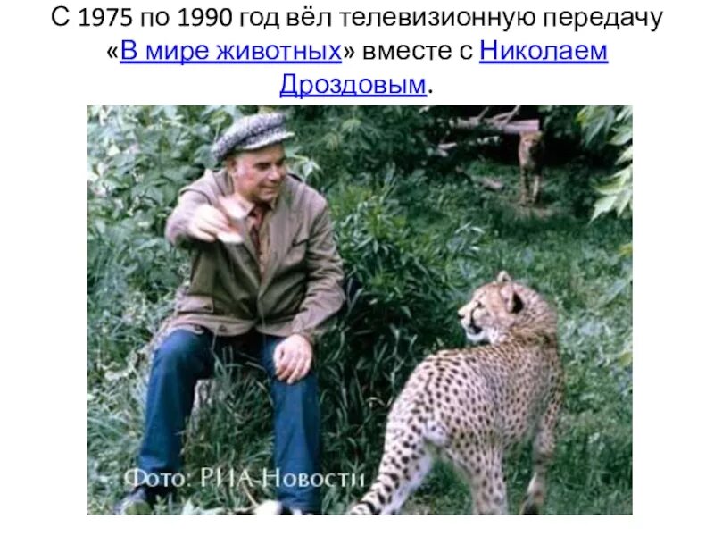 Сколько лет передачи в мире животных. В мире животных 1975. кто 1 вел передачу в мире животных. особенности передачи в мире животных. кто вёл передачу в мире животных в 1975 году.