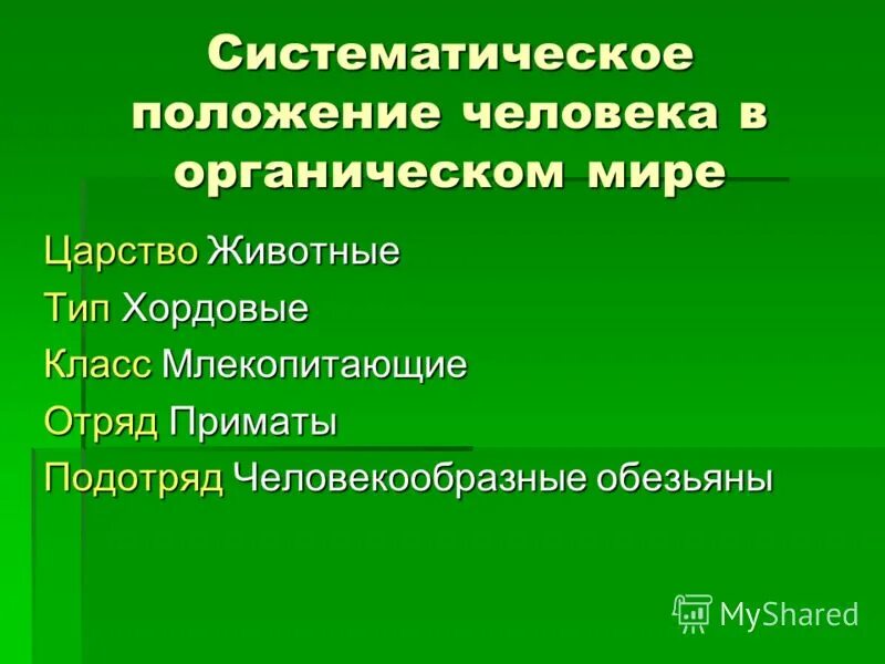 Систематическое положение человека в мире животных. Систематическое положение человека в животном мире. Антропогенез систематическое положение человека. Систематическое положение человека таблица 8 класс биология. Систематическое положение человека царство.