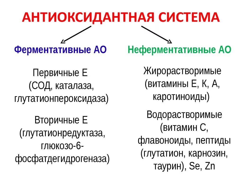 Антиоксидантные ферменты. Антиоксидантные системы клеток. Система антиоксидантной защиты патофизиология. Ферментативная антиоксидантная система. Основные неферментные антиоксиданты.