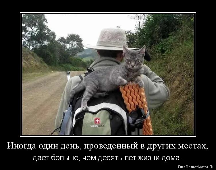 Путешествие на море. Смешное путешествие. Шутки про поездку. Юмор туризм путешествия. Приколы про путешествия.
