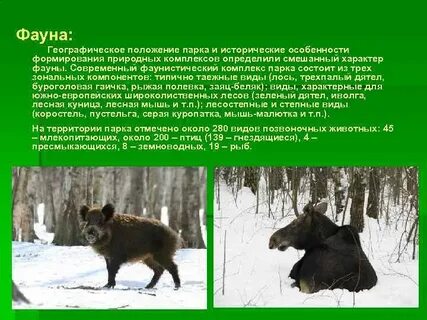 Географическое положение парка